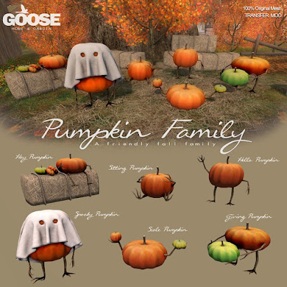 Goose – Pumpkin Family