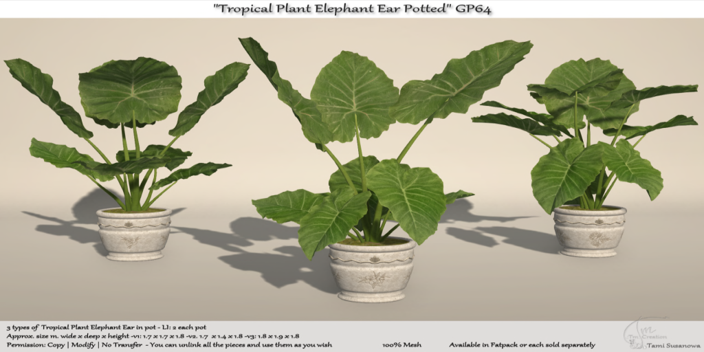 Tm Creation – Tropical Plant Elephant Ear Potted GP64