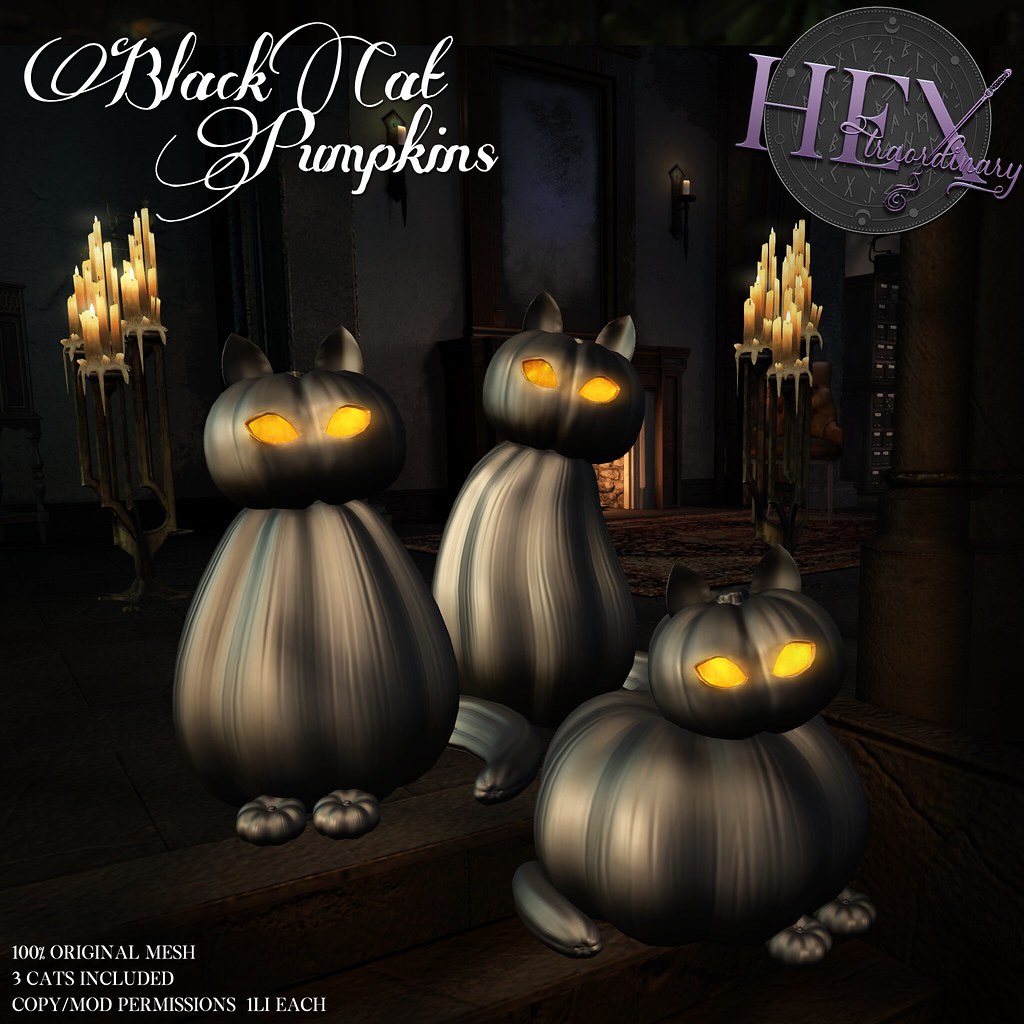 HEXtraordinary – Black Cat Pumpkins