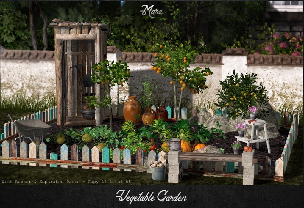 Mare – Vegetable Garden