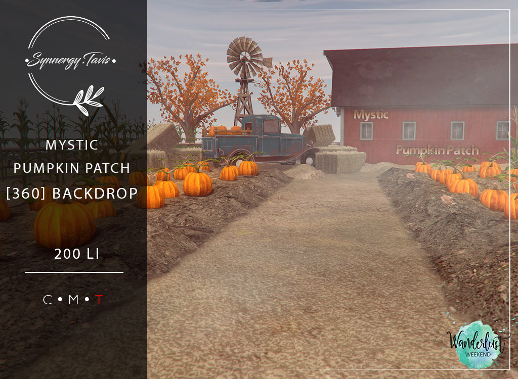 Synnergy.Tavis – Mystic Pumpkin Patch Backdrop