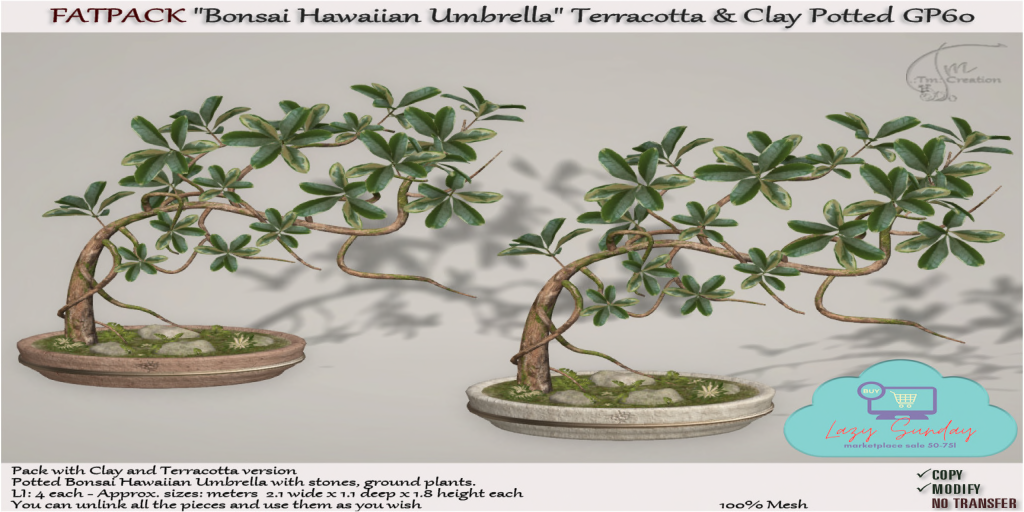 TM Creation – Bonsai Potted Hawaiian Clay & Terracotta Fatpack