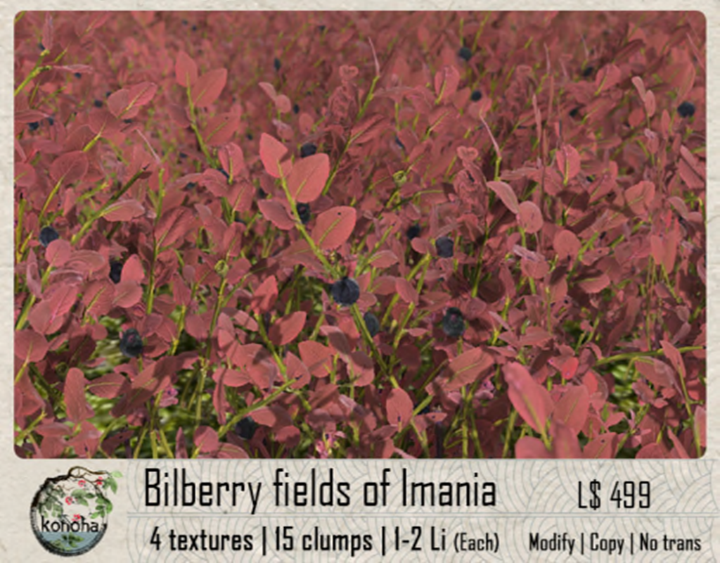 Konoha – Bilberry Fields of Imania