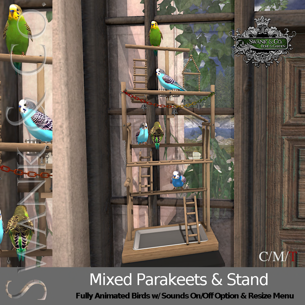 Swank & Co. – Mixed Parakeets, Canaries & Stand