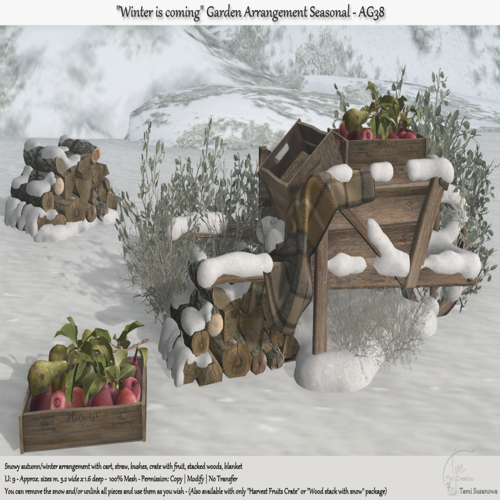 TM Creation – “Winter is coming” Garden Arrangement Seasonal