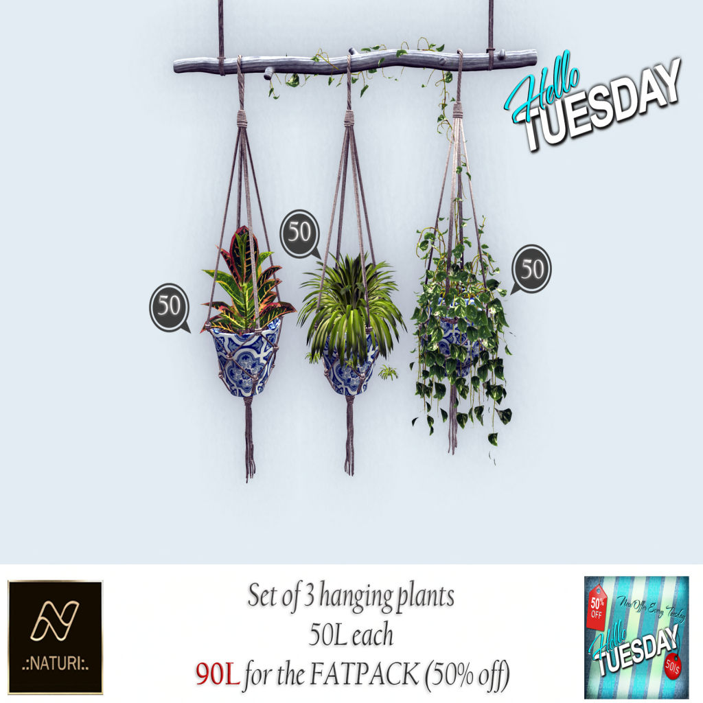 Naturi – Hanging Plants