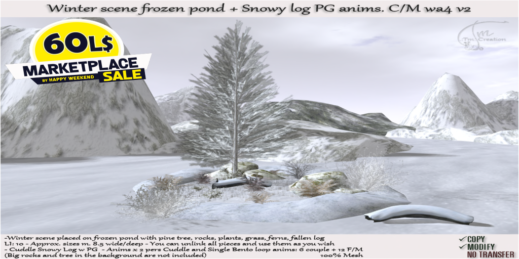TM Creation – Winter Scene Frozen Pond