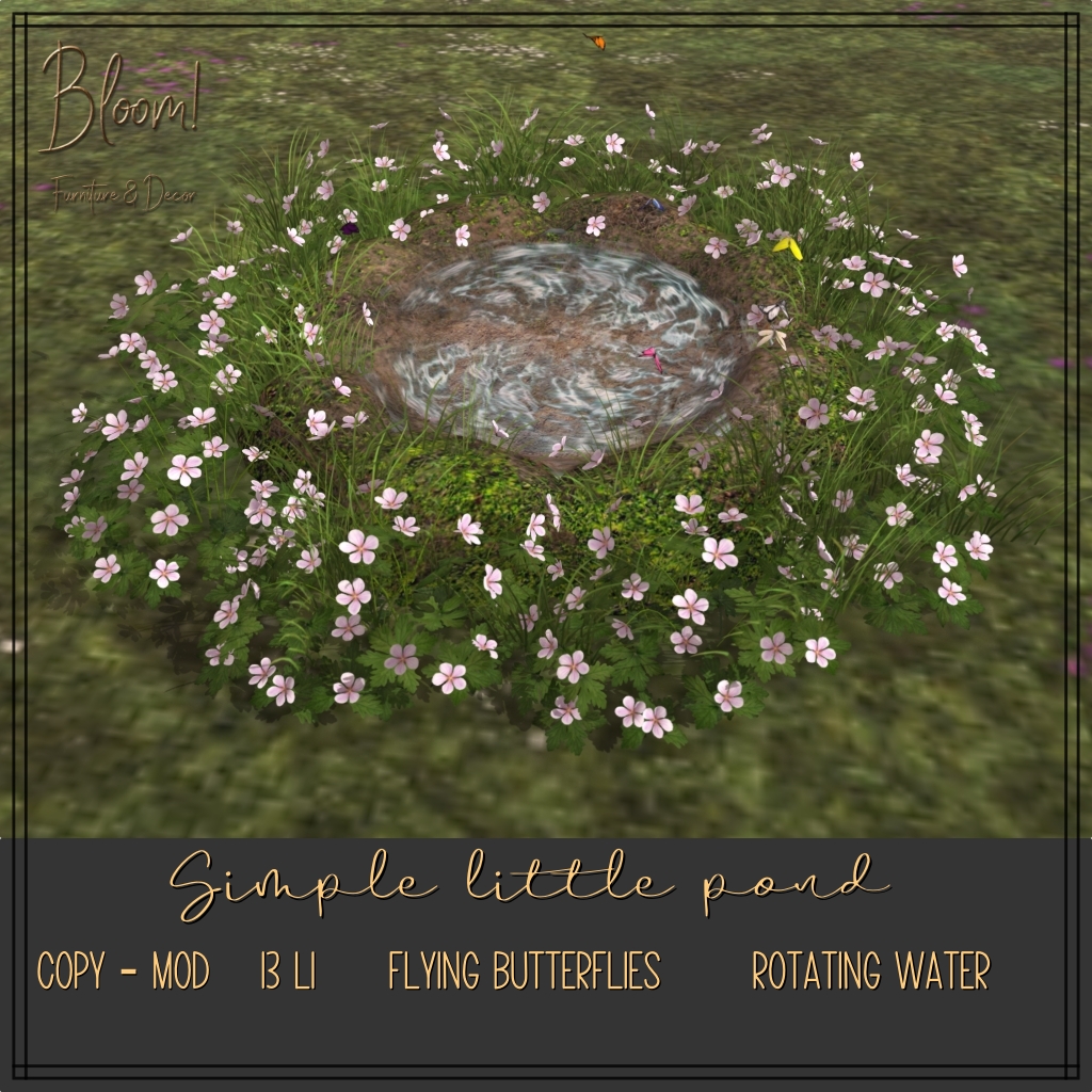 Bloom! – Simple Little Pond