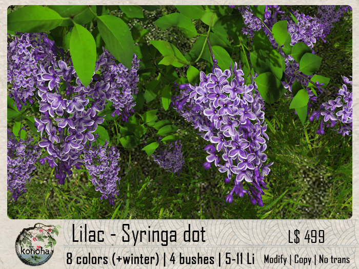 Konoha – Lilac: Syringa Dot