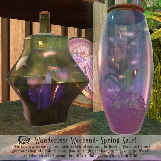 Cerridwens Cauldron – Birds of Paradise & Heart Mushrooms bottled gardens