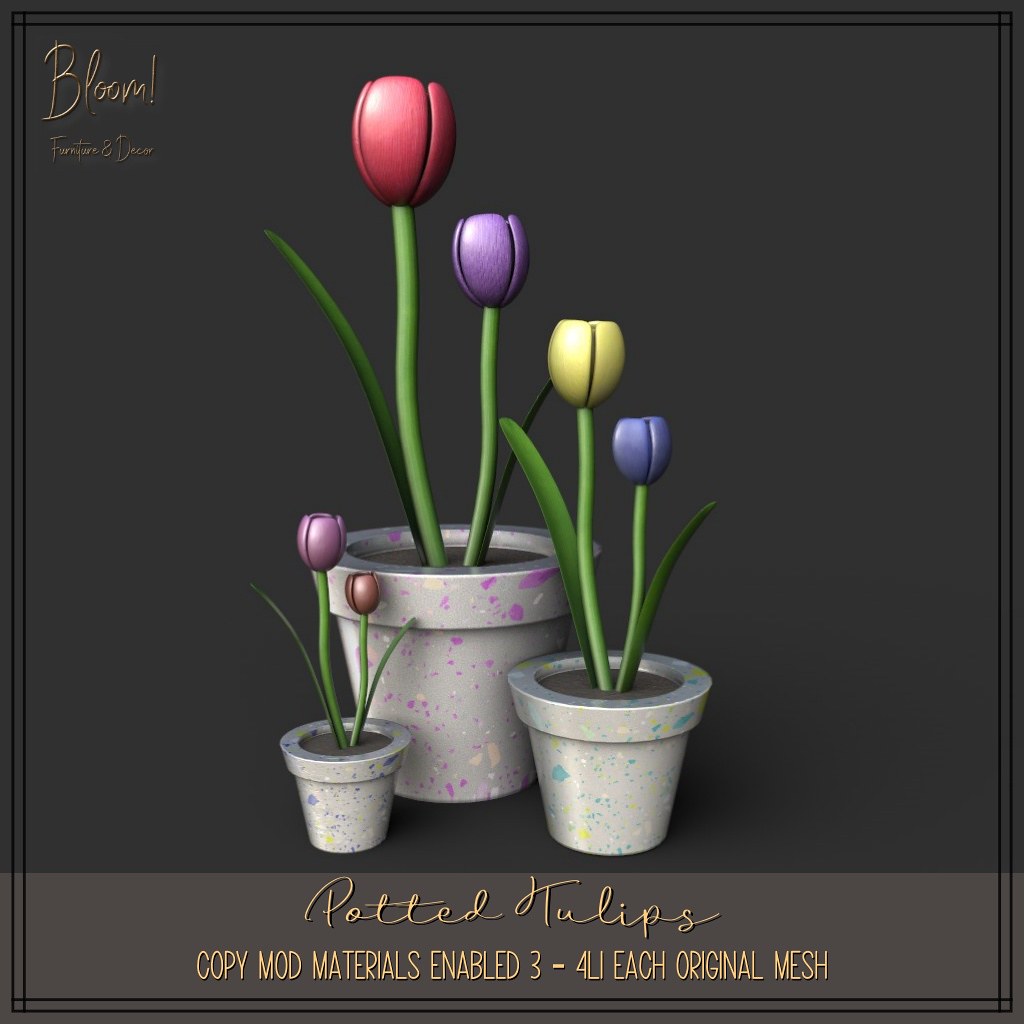 bloom! Originals – Potted tulips