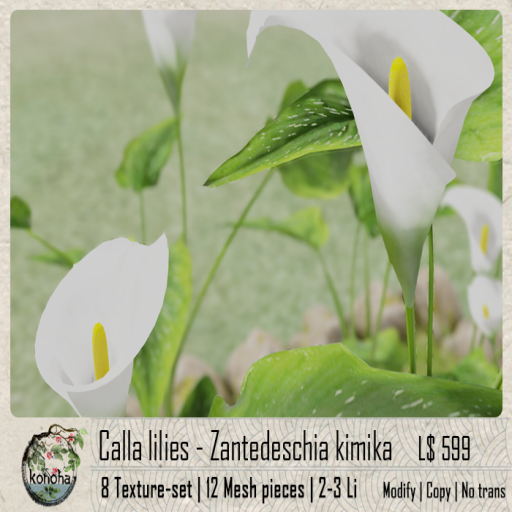 Konoha – Calla Lilies