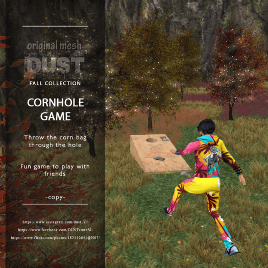 Dust – Cornhole Game