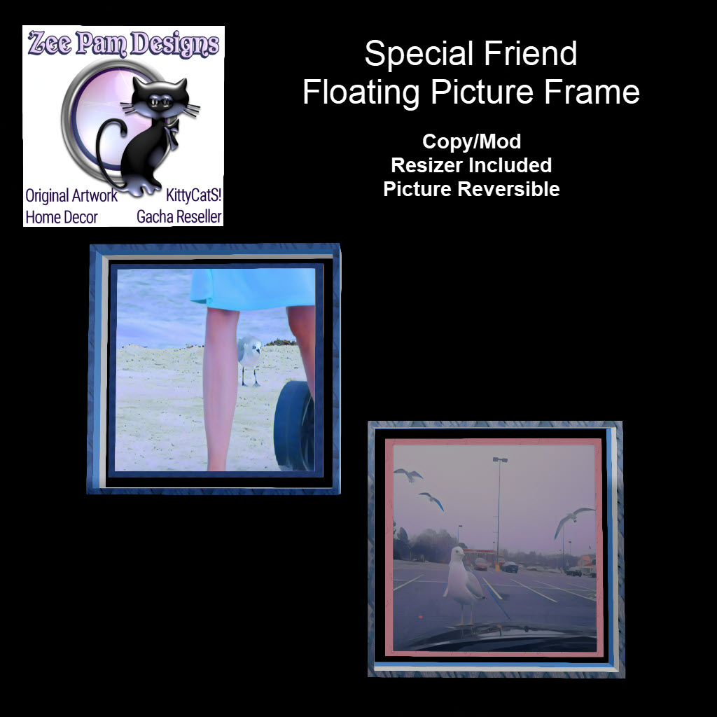Zee Pam Designs – The Special Friend Photo