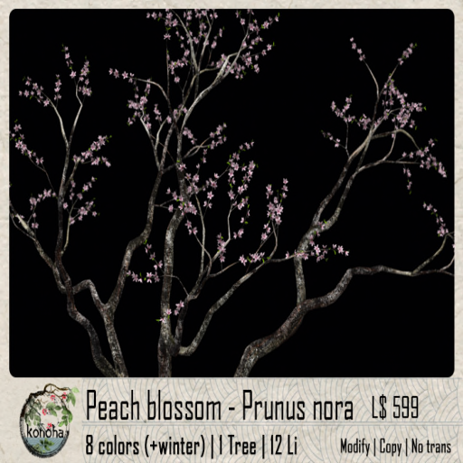 Konoha – Peach blossom – Prunus nora