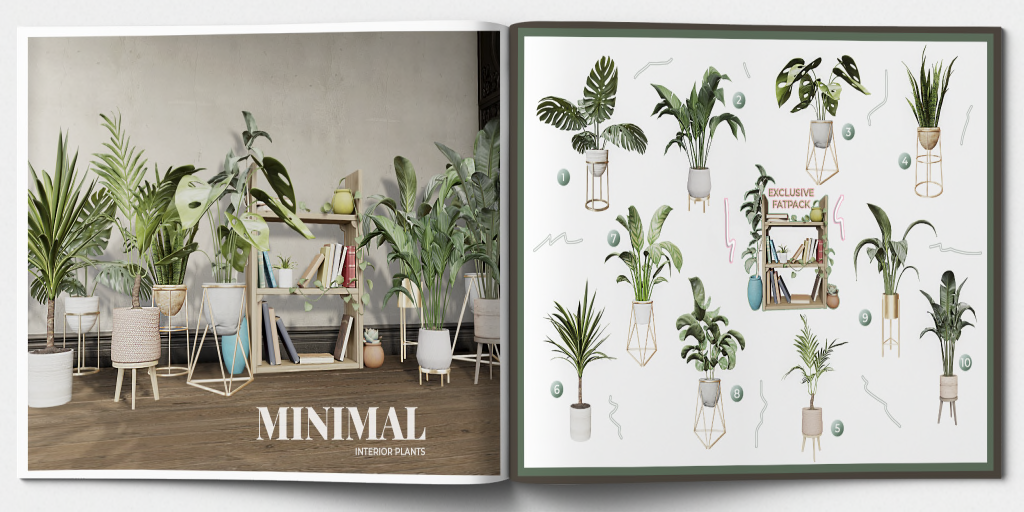 Minimal – Interior Plants