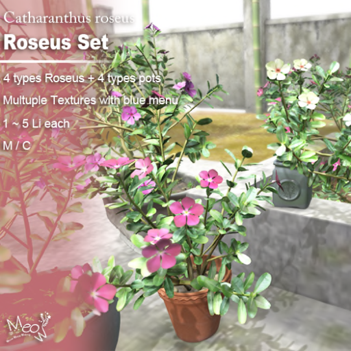 Meow – Roseus Set