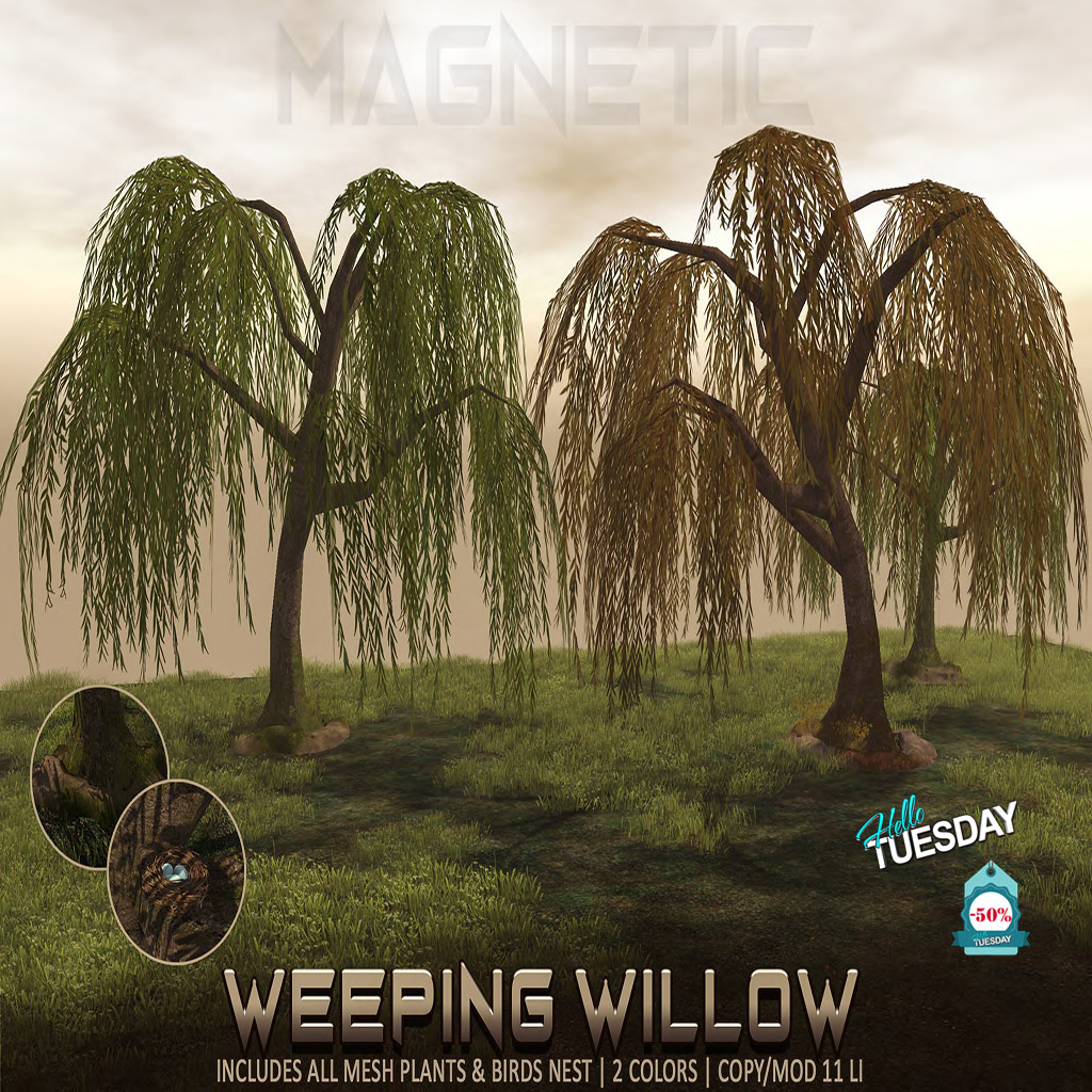 Magnetic – Flowering Buckets and Weeping Willow
