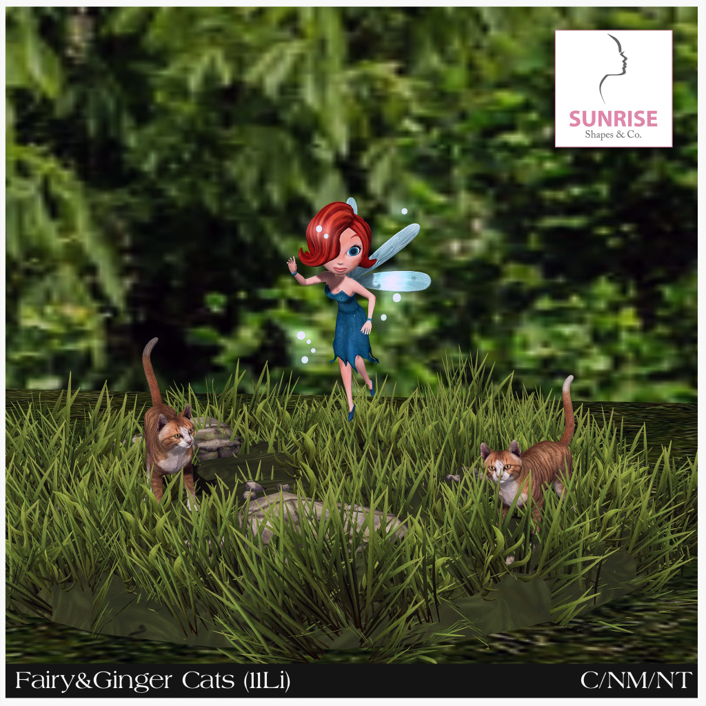 Sunrise Shapes & Co. – Fairy and Ginger Cats