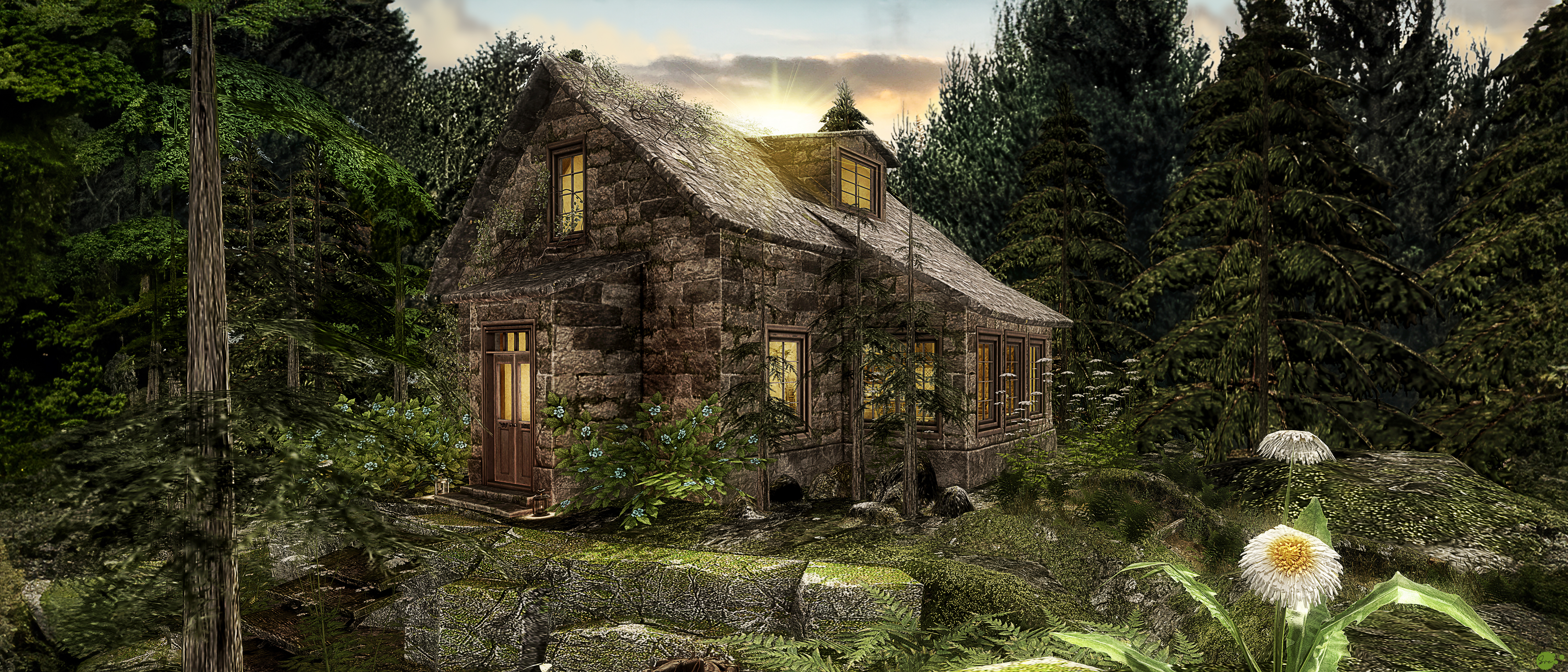 The Dense Forest – A Cabin In The Woods