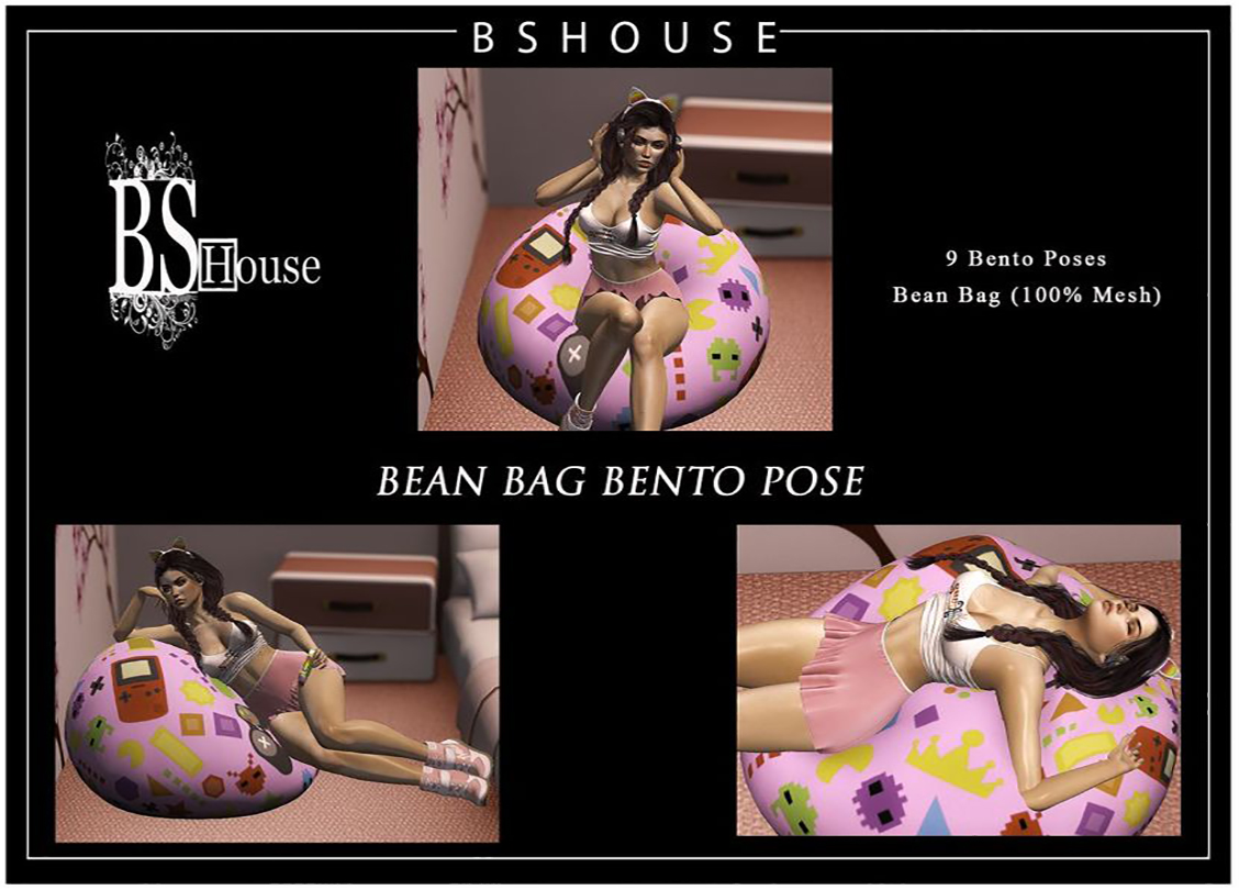BS House – Bean Bag Bento Pose