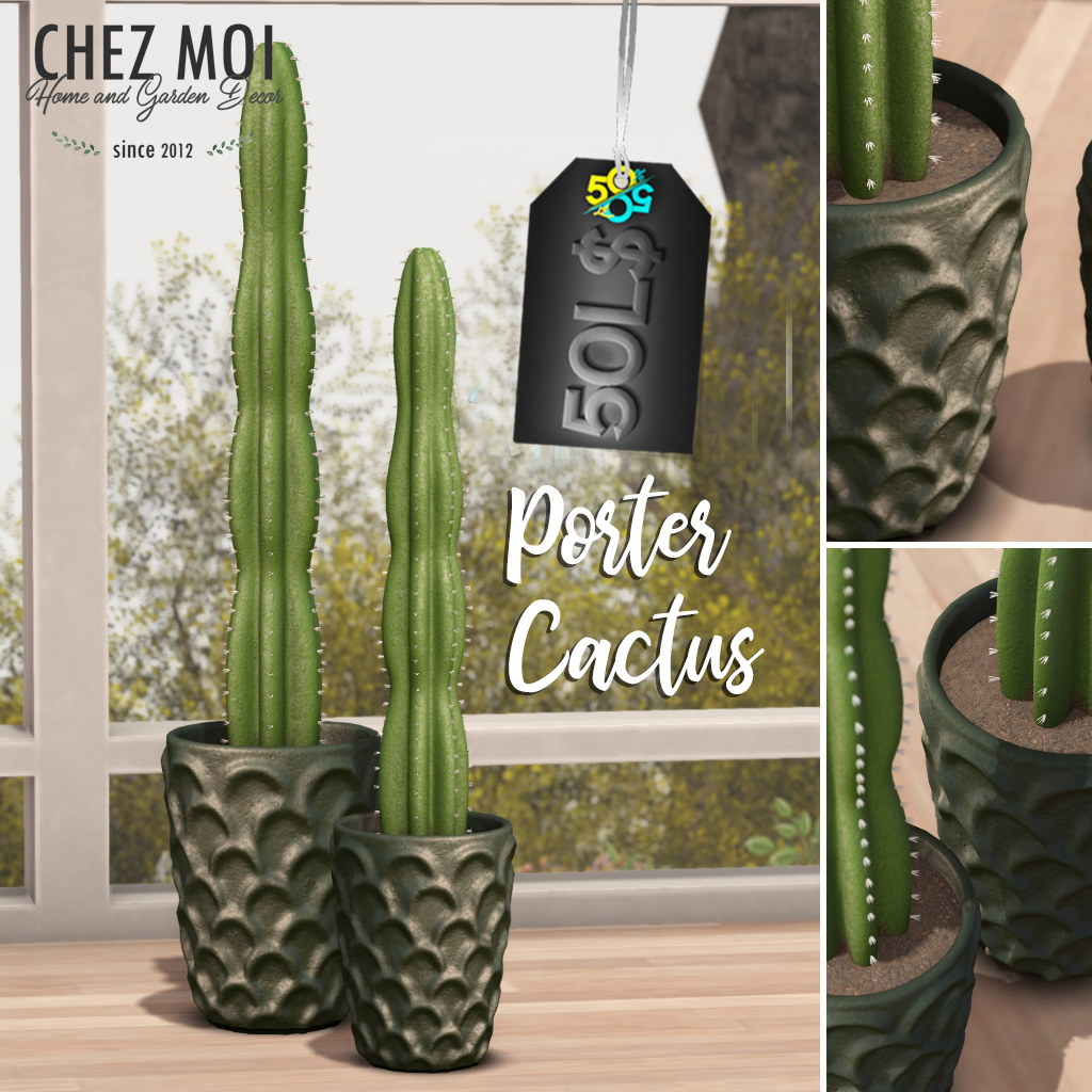 Chez Moi – Porter Cactus