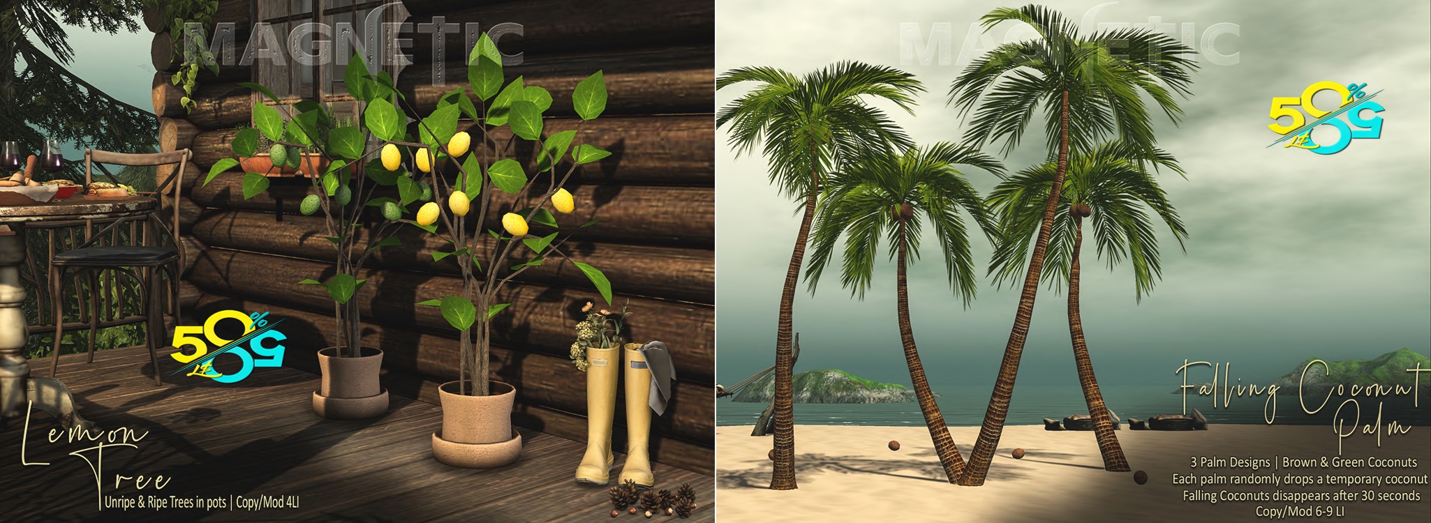 Magnetic – Lemon Tree & Falling Coconut Palm
