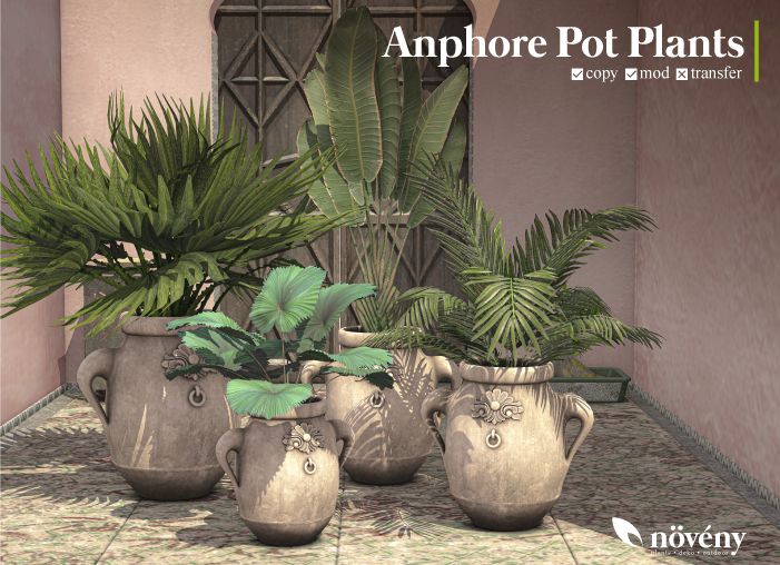 Noveny – Amphore Pot Plants
