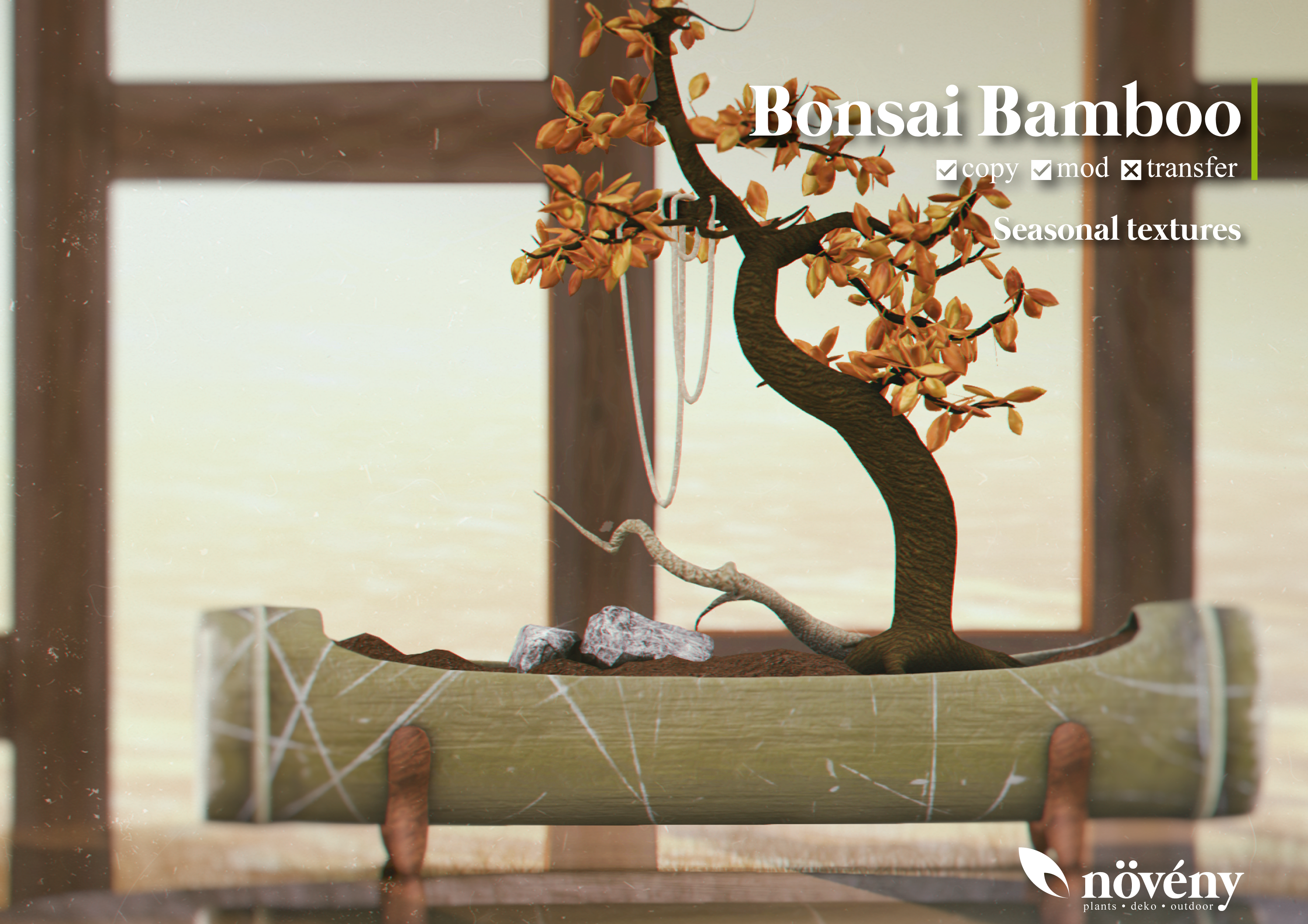 Noveny – Bonsai Bamboo