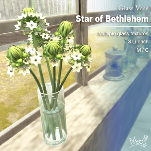 Meow Meow – Star of Bethlehem Collection