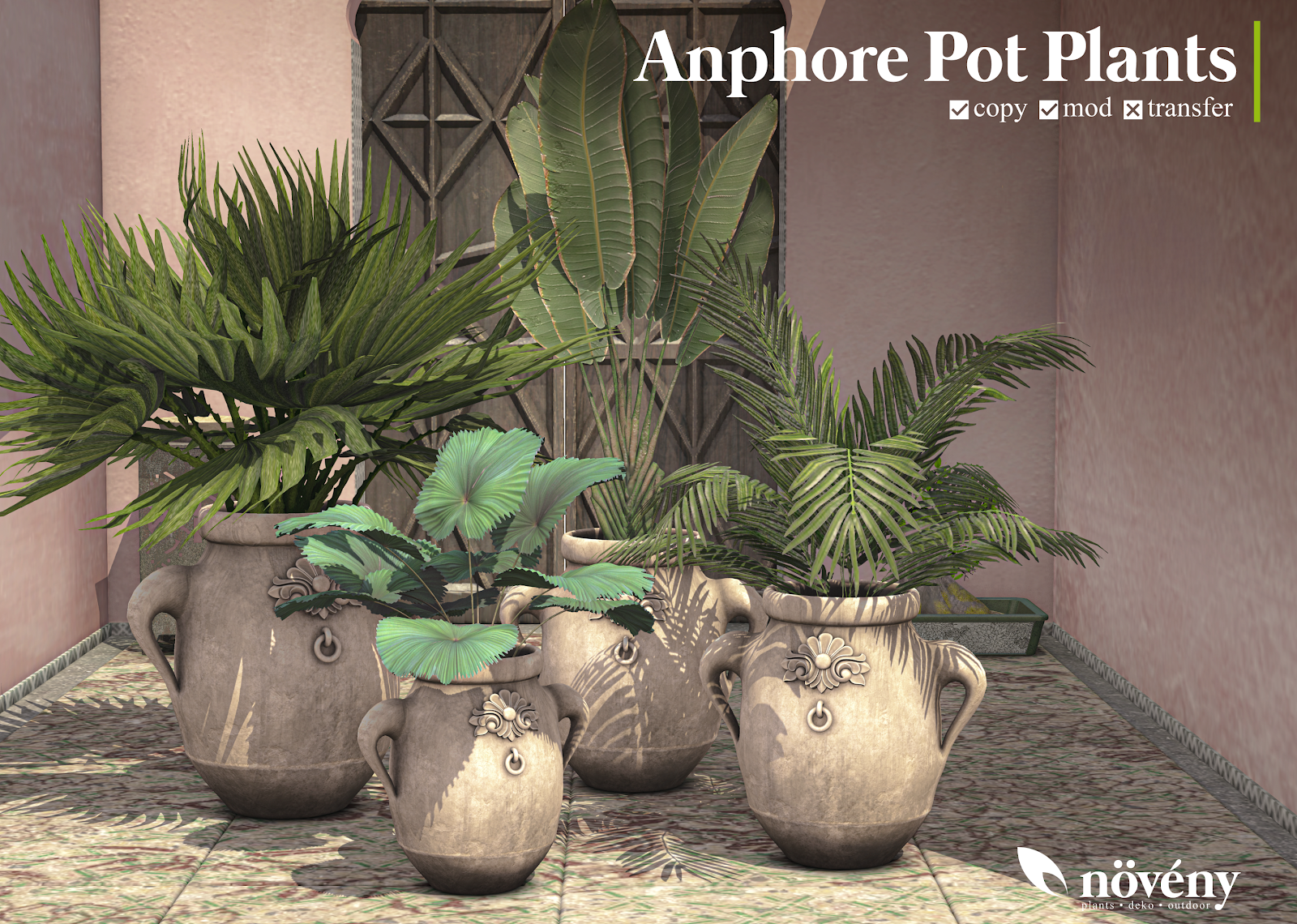 Noveny – Anphore Pot Plants
